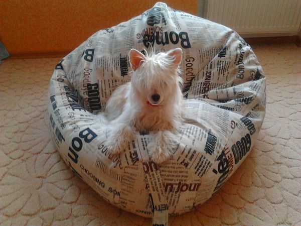 Eleazar Ognenny Lotos