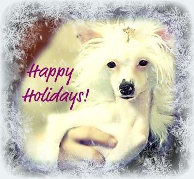 Sakkarra Princess Snow White