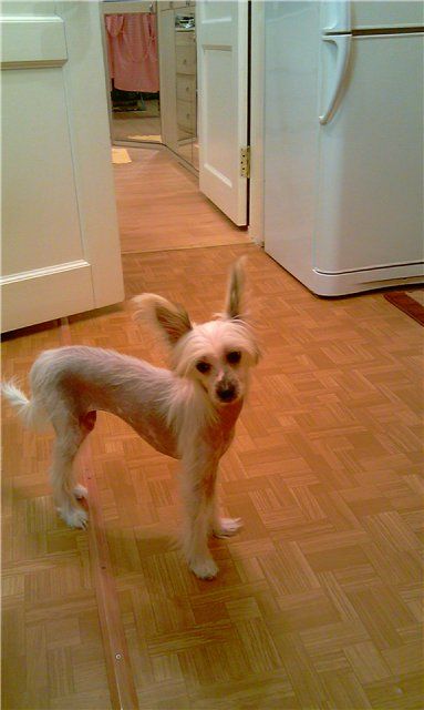 La Votre Belle Ellyushka