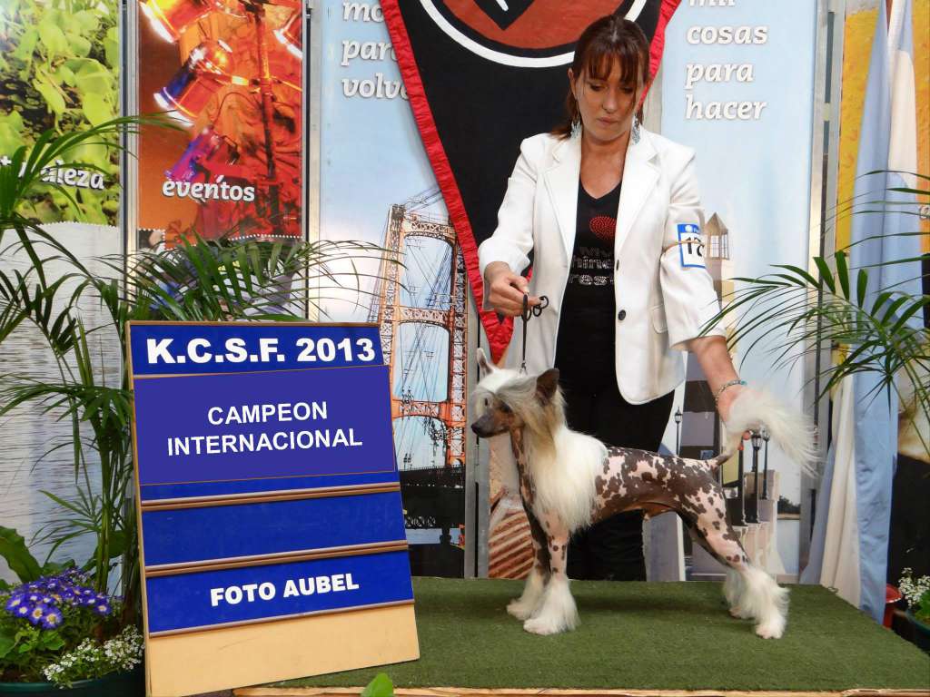 Patagonia Ranch Angel O' Check Venskii Vals.