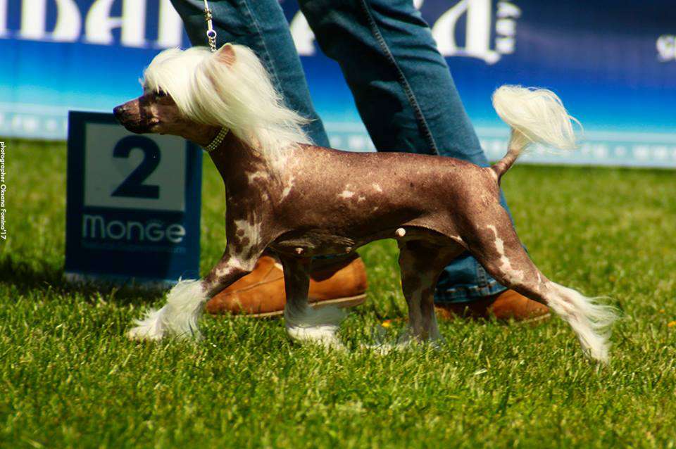 Angel O' Check Gracia