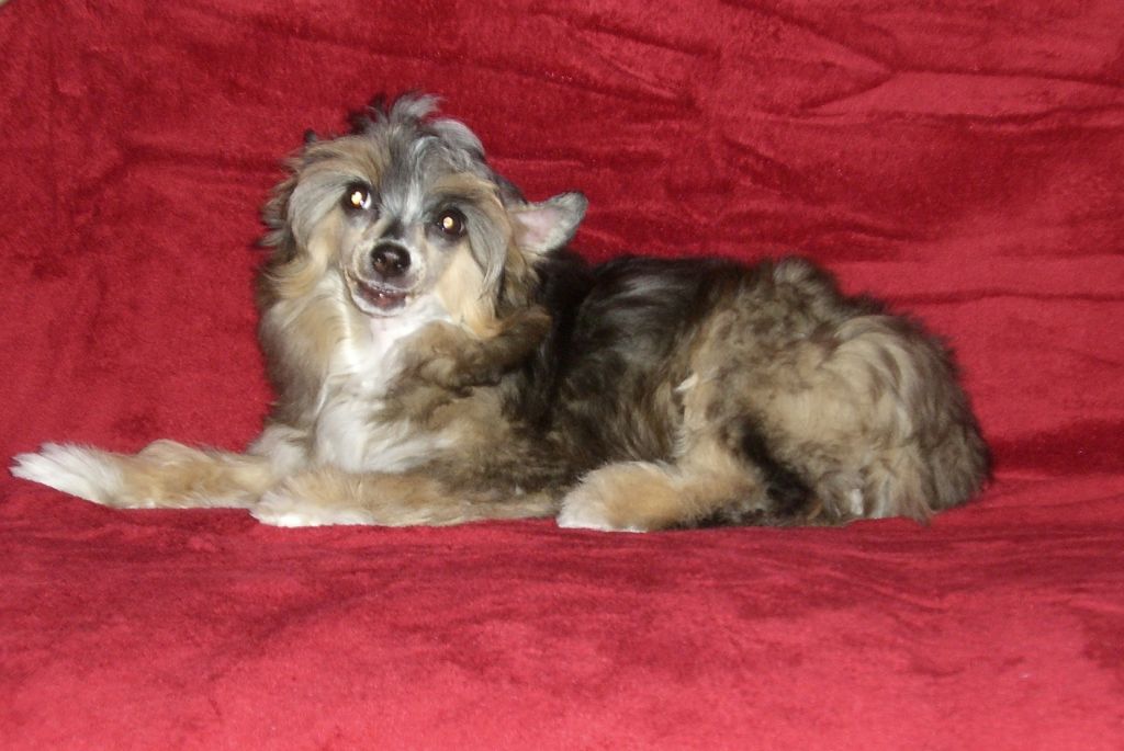 Amelie Caramella's Family