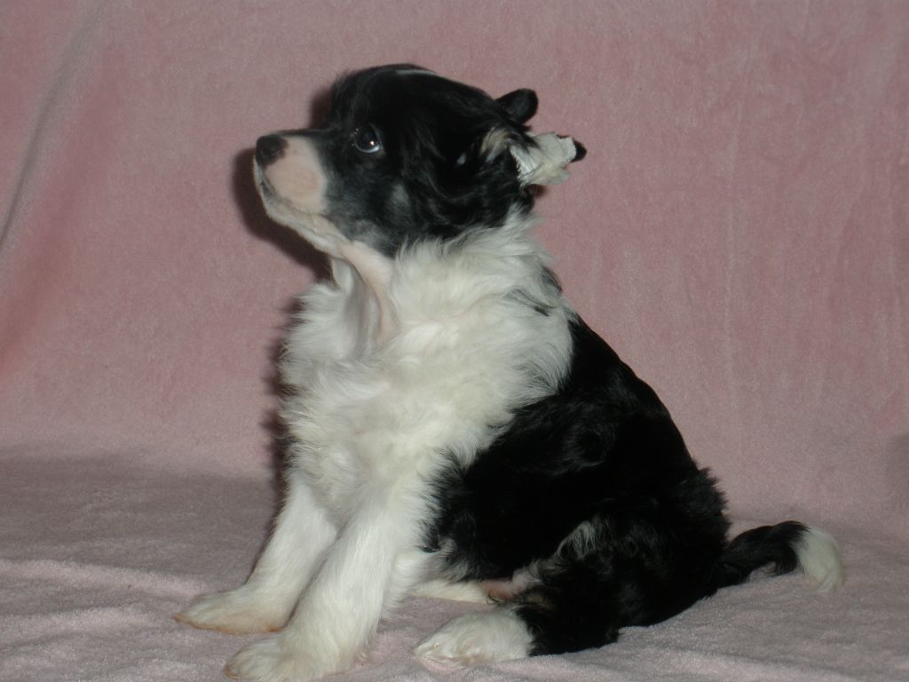 Amiwa - Mia Ipsi Grand