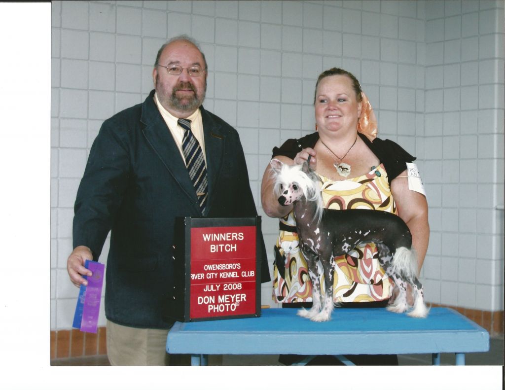 Dreamstar's Foxy Racer