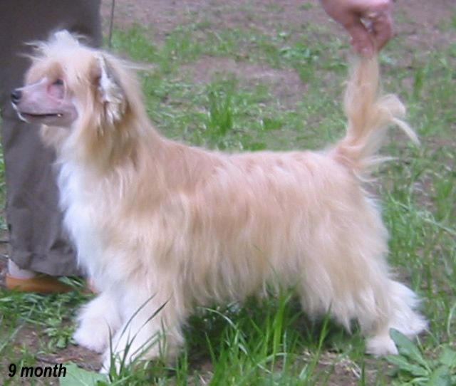 Vernisazh Mari Olivia