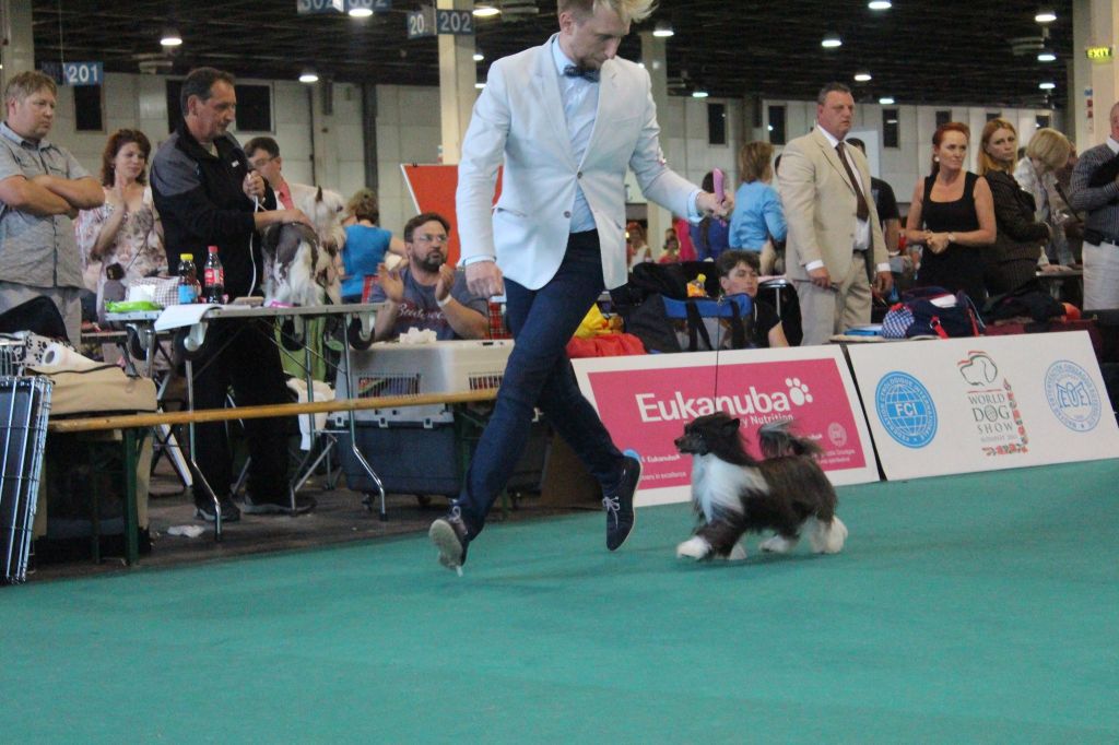 Zodiak Vanity Fair Next Germanika