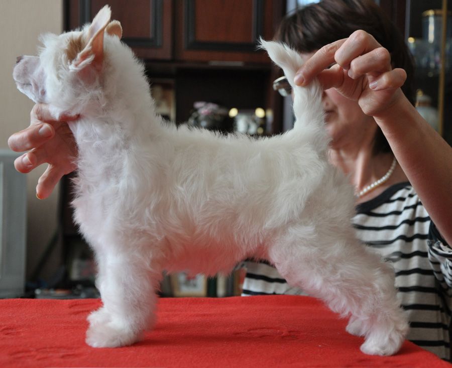 Kranar Cheery and Young