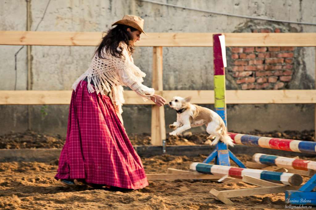 Lanart Caramel Ksolo Club