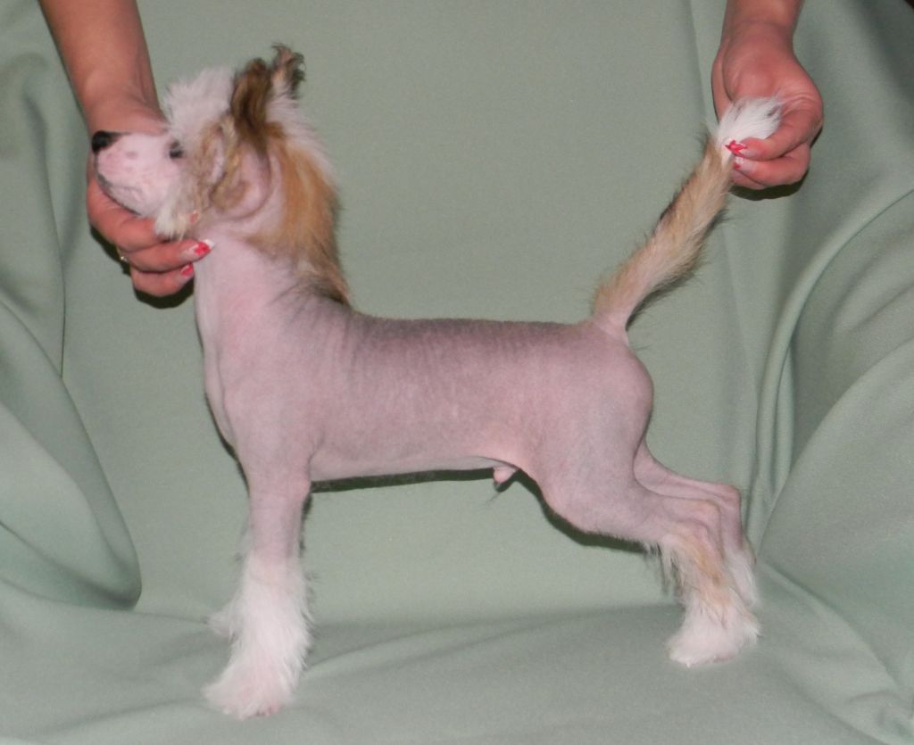 Oks Company Dress Code