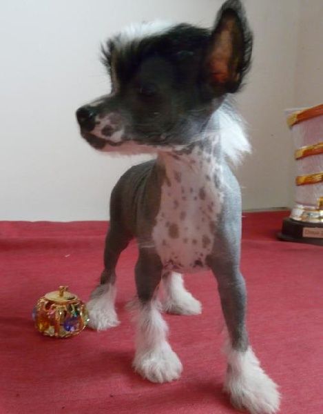 Subway Fred of Milford