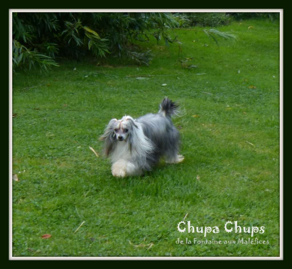 Chupa Chups De La Fontaine Aux Maléfices