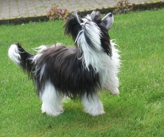 Give Me More of Angel's Legacy