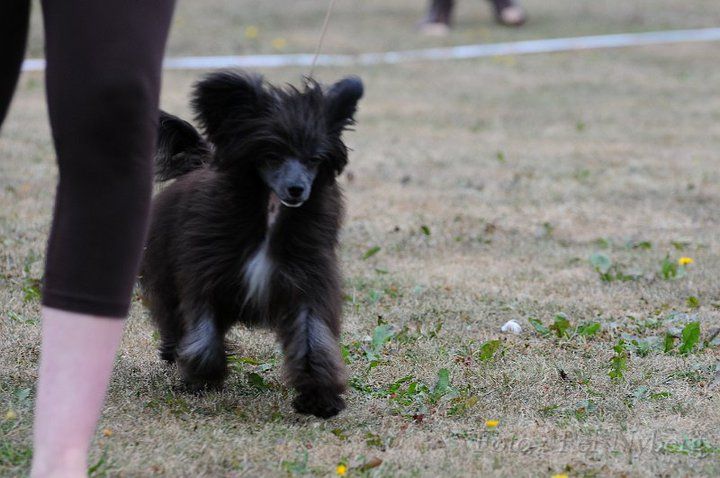 Great Temptation of Angel's Legacy