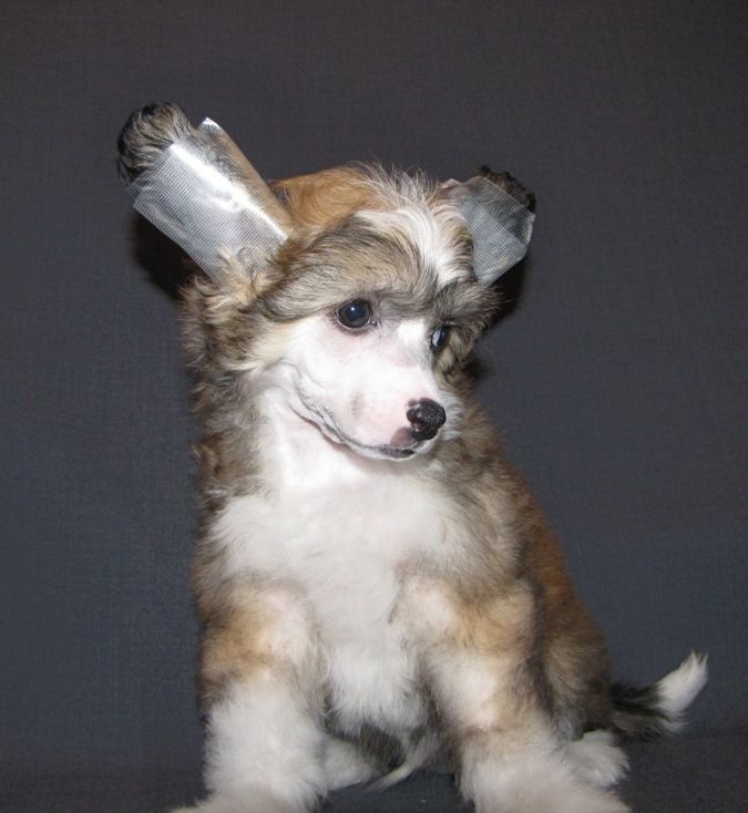 Naleks Art Marseilles