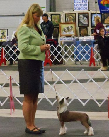 Solino's Versace Blue Jeans