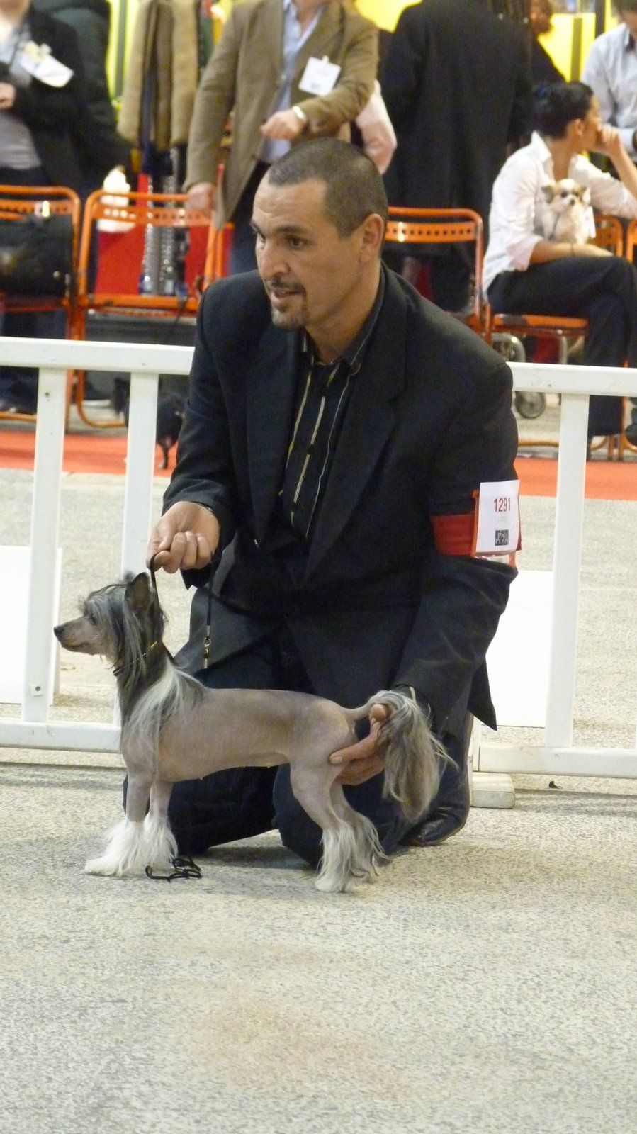 moon harbour  fatal attraction