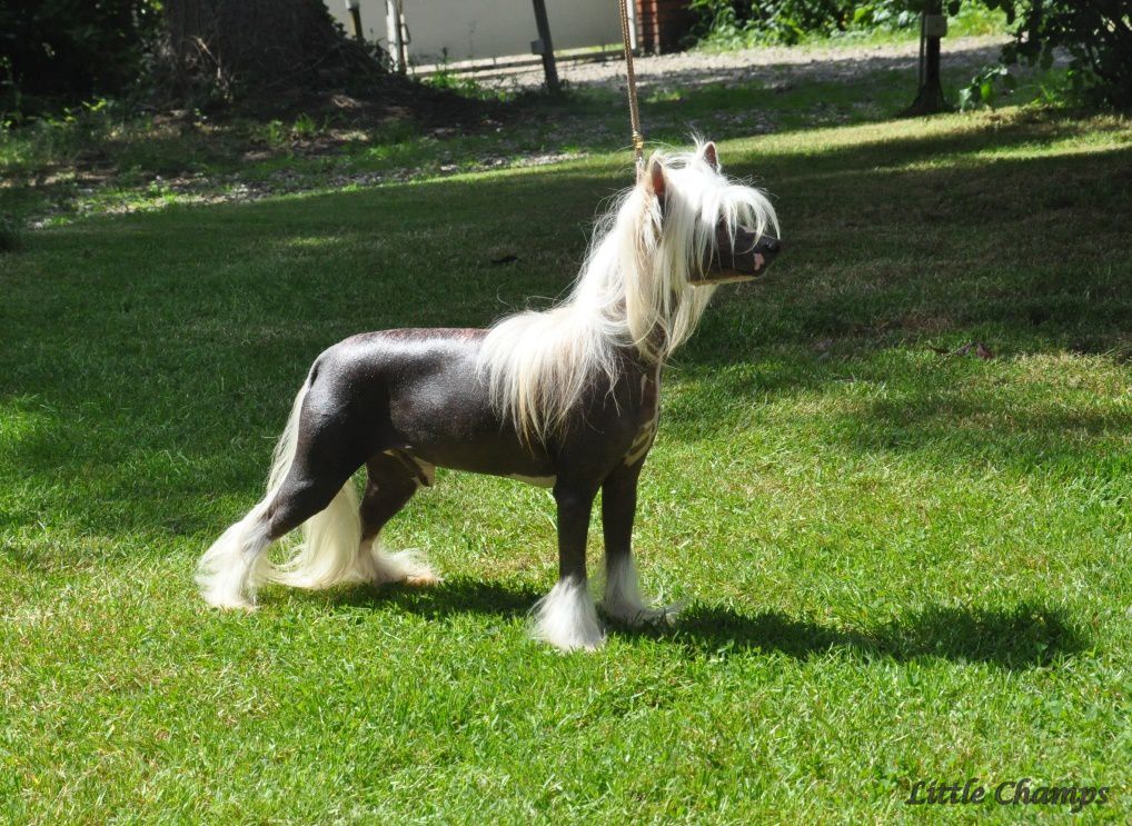 Subway Friday For Little Champs