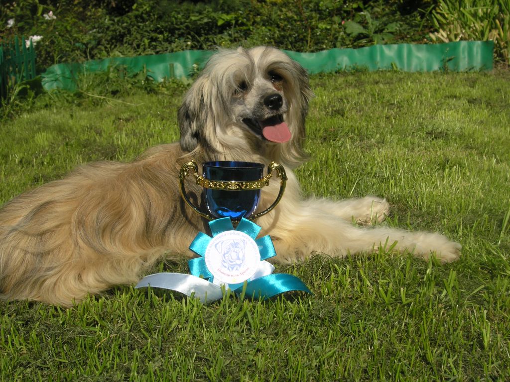 Ksolo Club Ruzanna the Glamour Lady