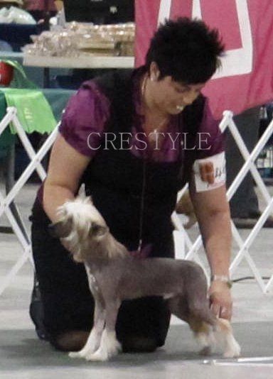 Crestyle Principal Invesment