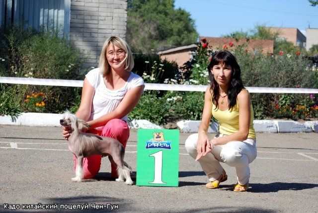 Kado Kitaiski Potselui Chen-Gun