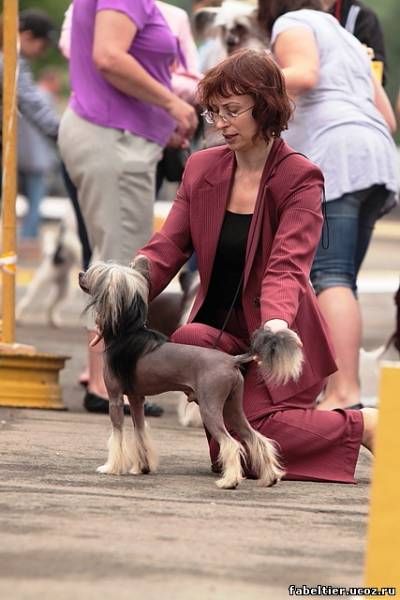 Vernisazh Mari Emil Faier Dance