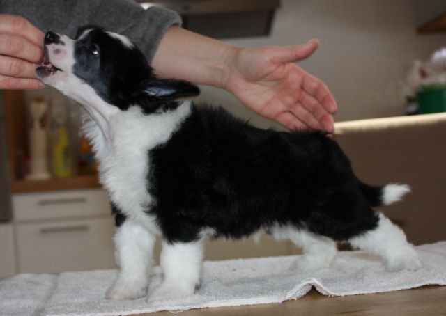 Sun-Hee's Conquering the Storm