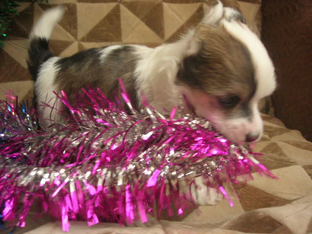 Rovanni Djekattolo Uolker Tilli