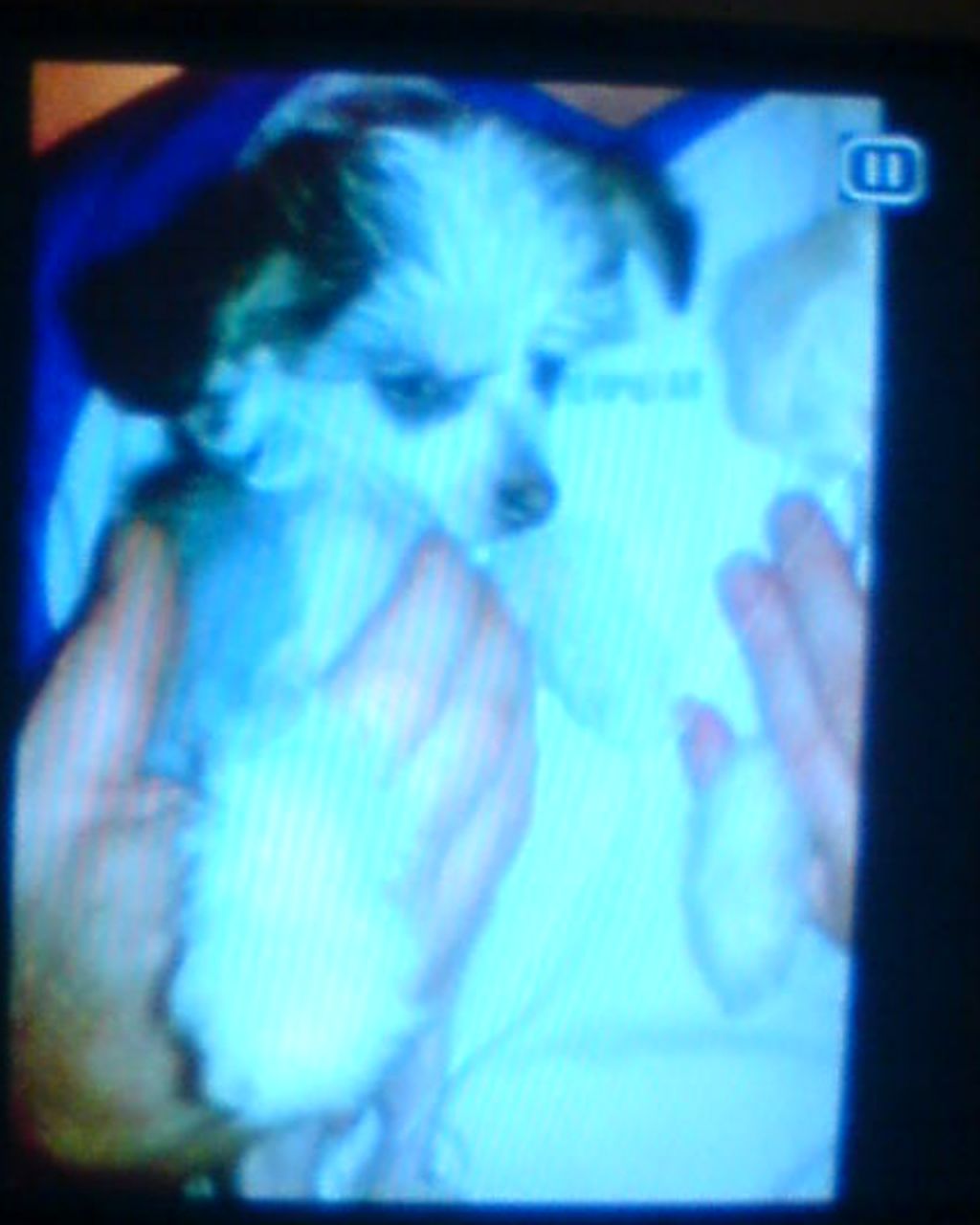 Sigyns The Great Goddess