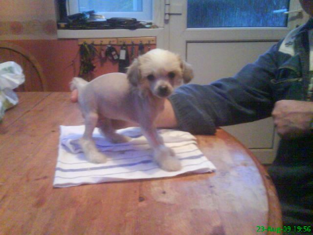 Sigyns Small And Mighty