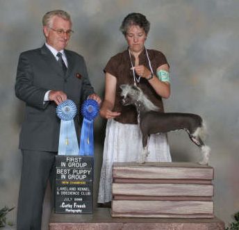 Yorkhouse Holy Terra