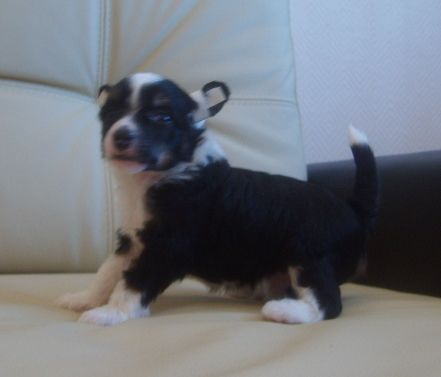 Orero Lovely Richard King