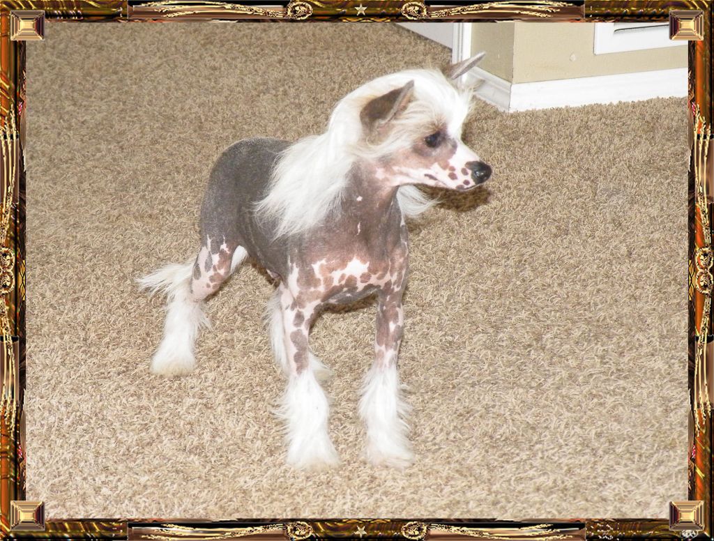 Outlaw's Right On Schedule