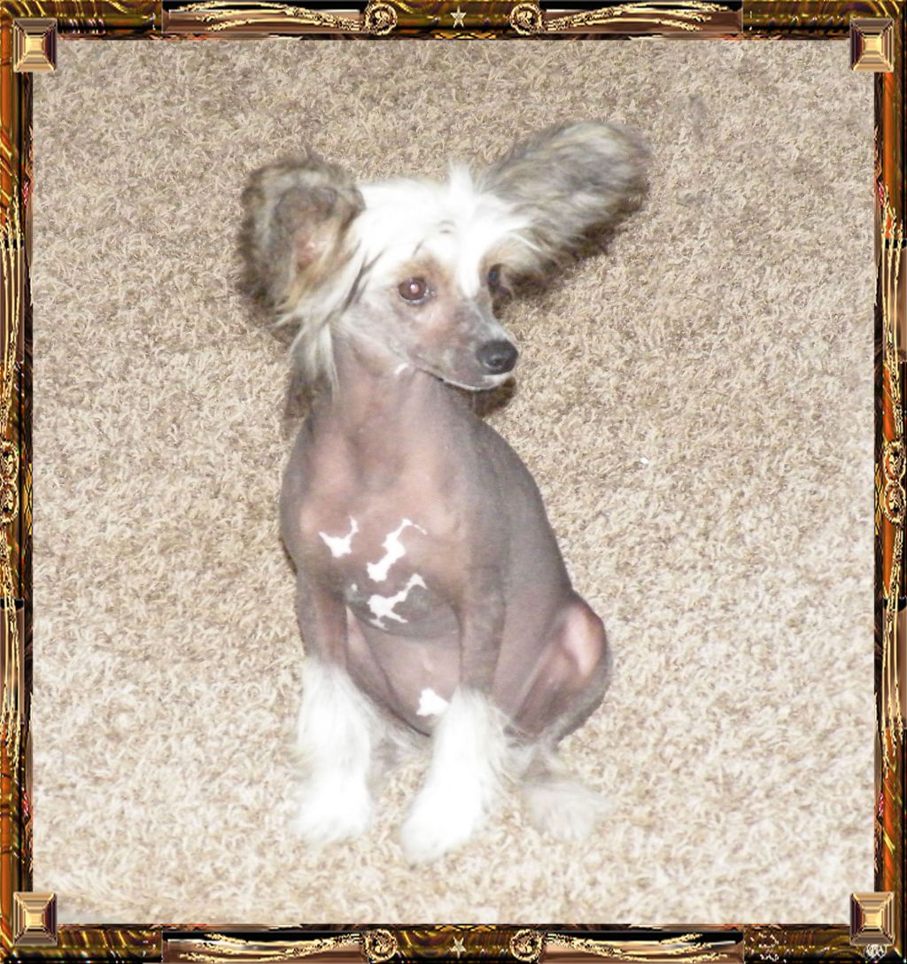 Outlaw's Risky Business