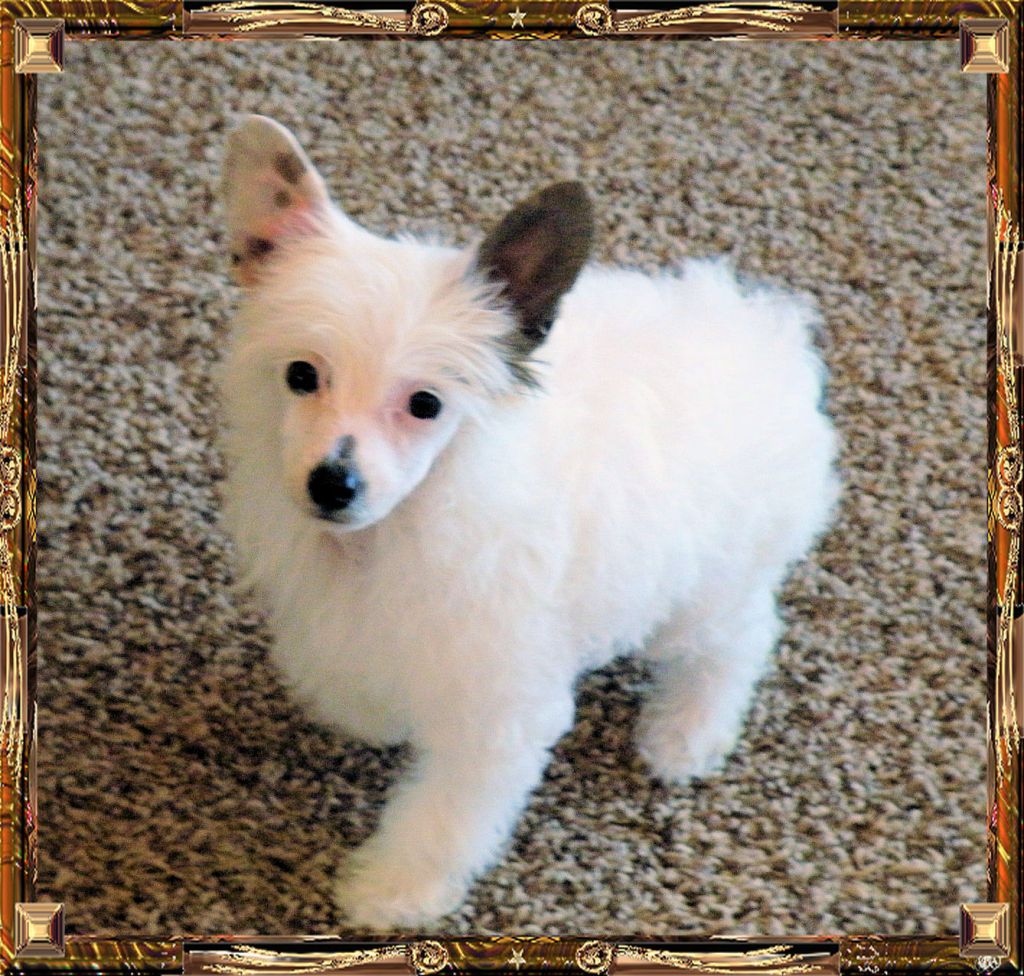 Outlaw's Wild Blue Yonder