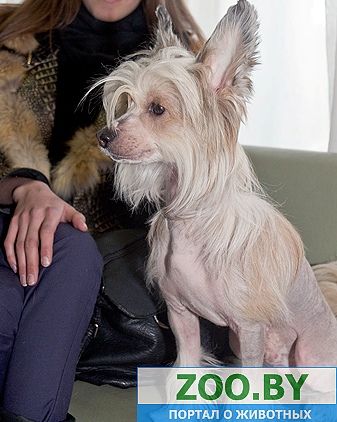 Elizar Kintaro Almires