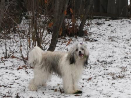 Zensi B'yutiful Ledi