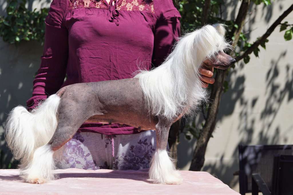 Habiba Flash Forward