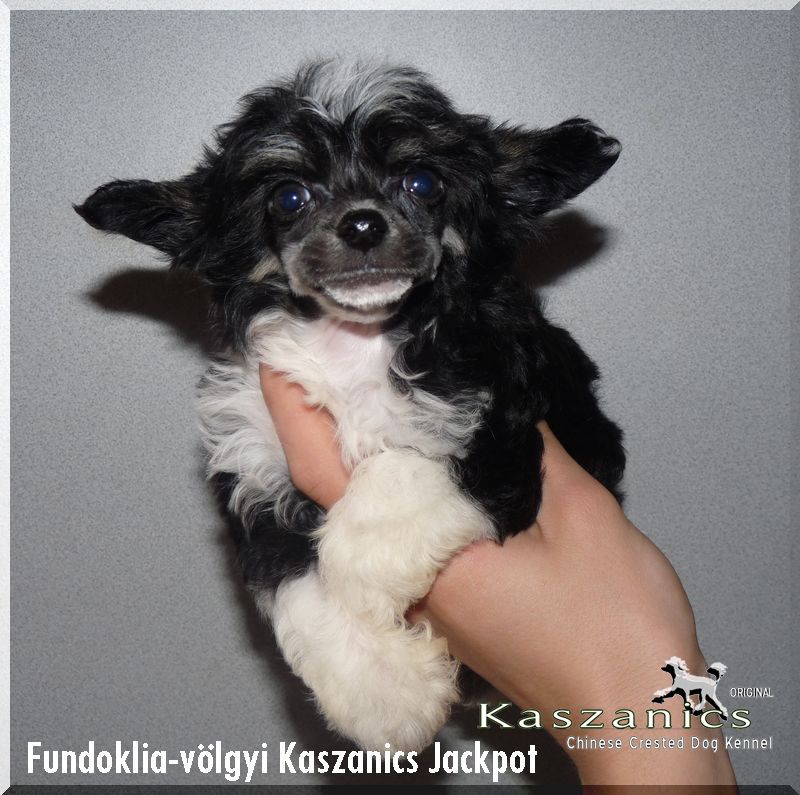 Fundoklia-völgyi Kaszanics Jackpot