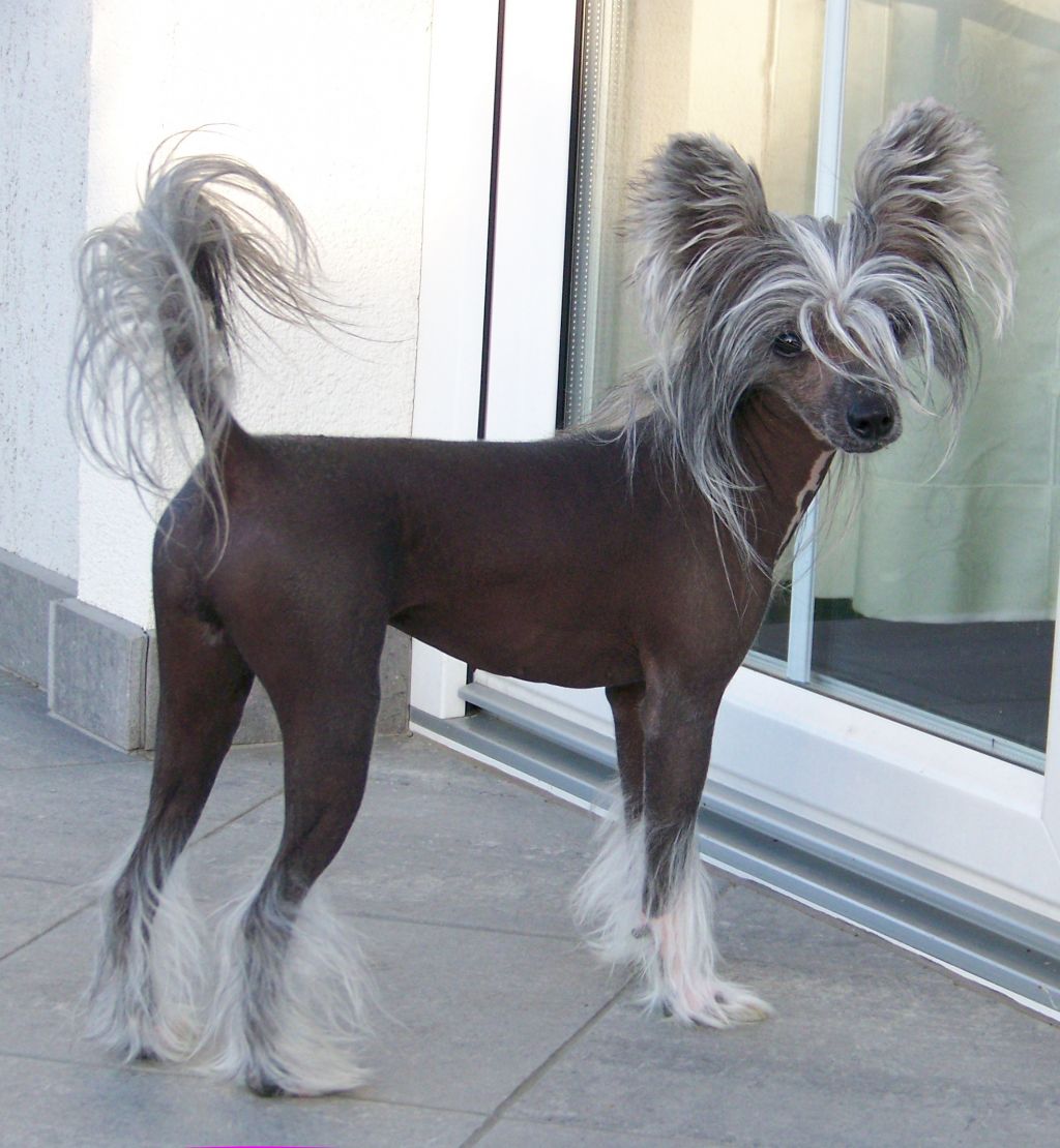 Fundoklia-völgyi Kaszanics Jamaican  Sunset