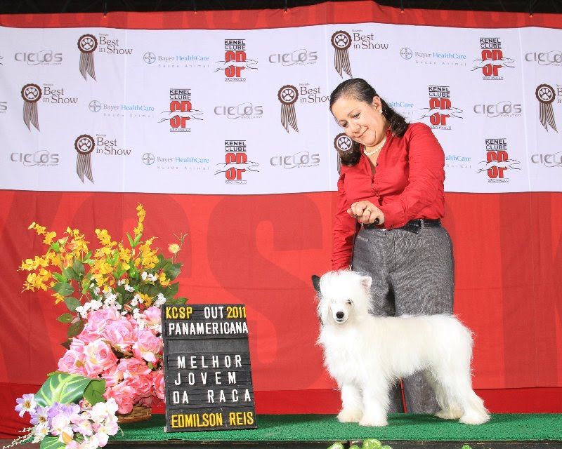 Lapinus Coconut Candy