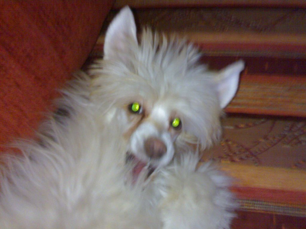 Kerolain Golden Talisman