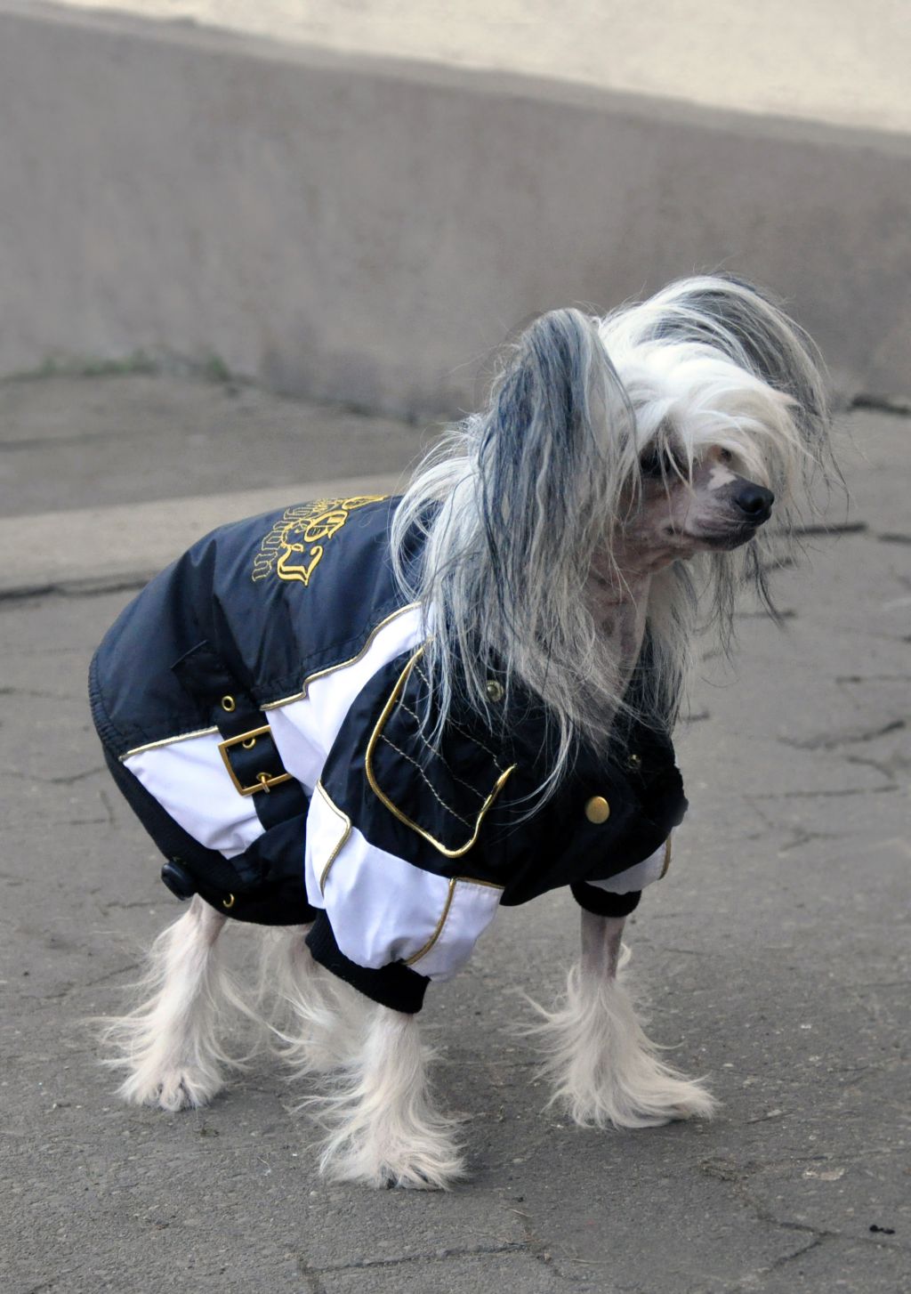 Elfgrace Yurana Yunaj