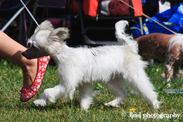 Tapi-Tapi Sleeping Beauty