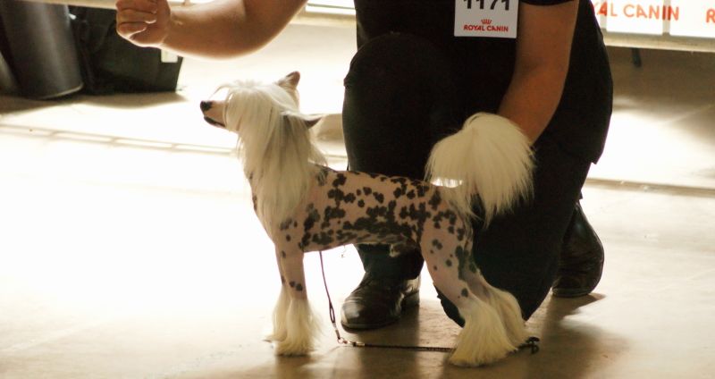 moon harbour first edition