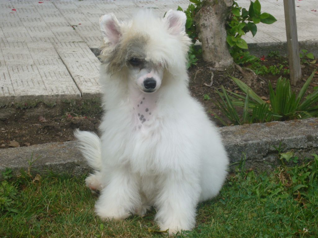 Moon harbour  fly me to the moon 