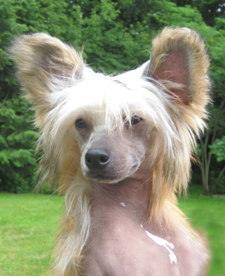 Jewels Defying Gravity