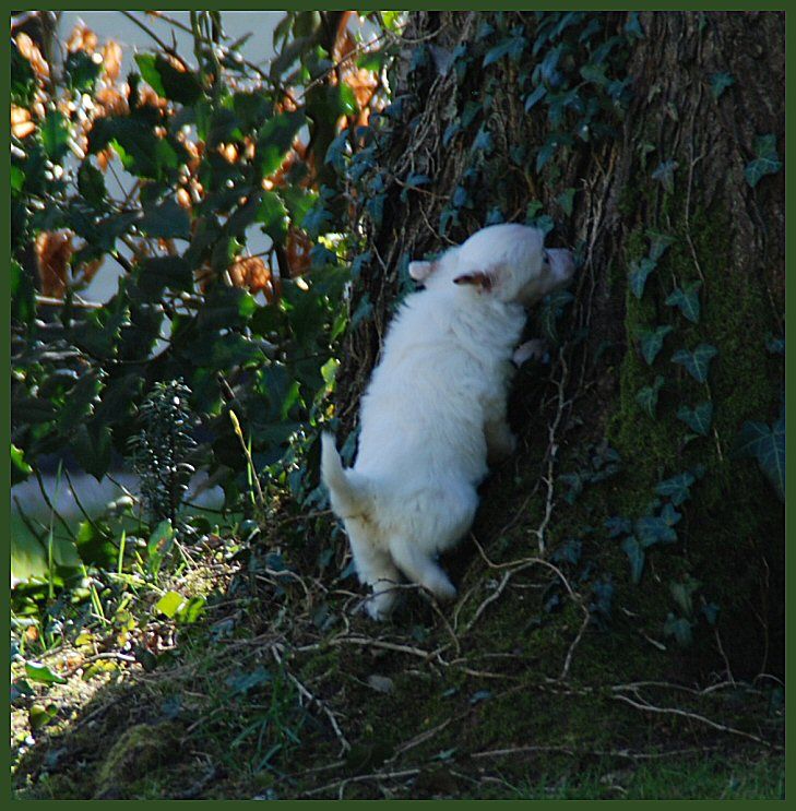 Dancing The Mambo of Roxy's Pride