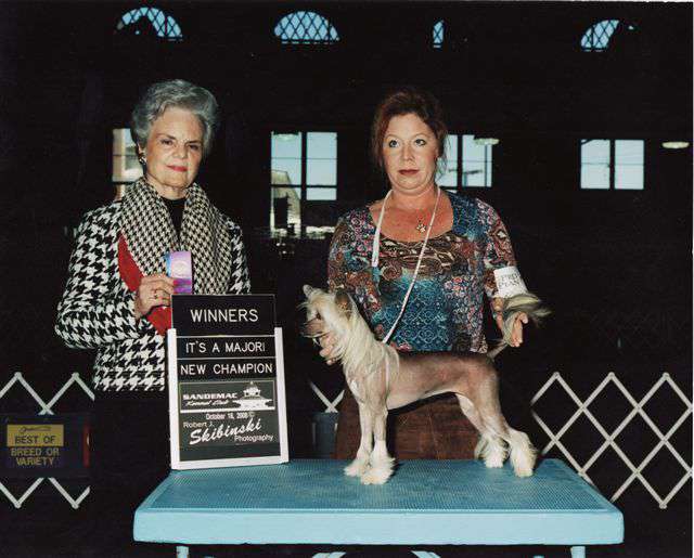 Edelweiss Pillow Talk by Jove