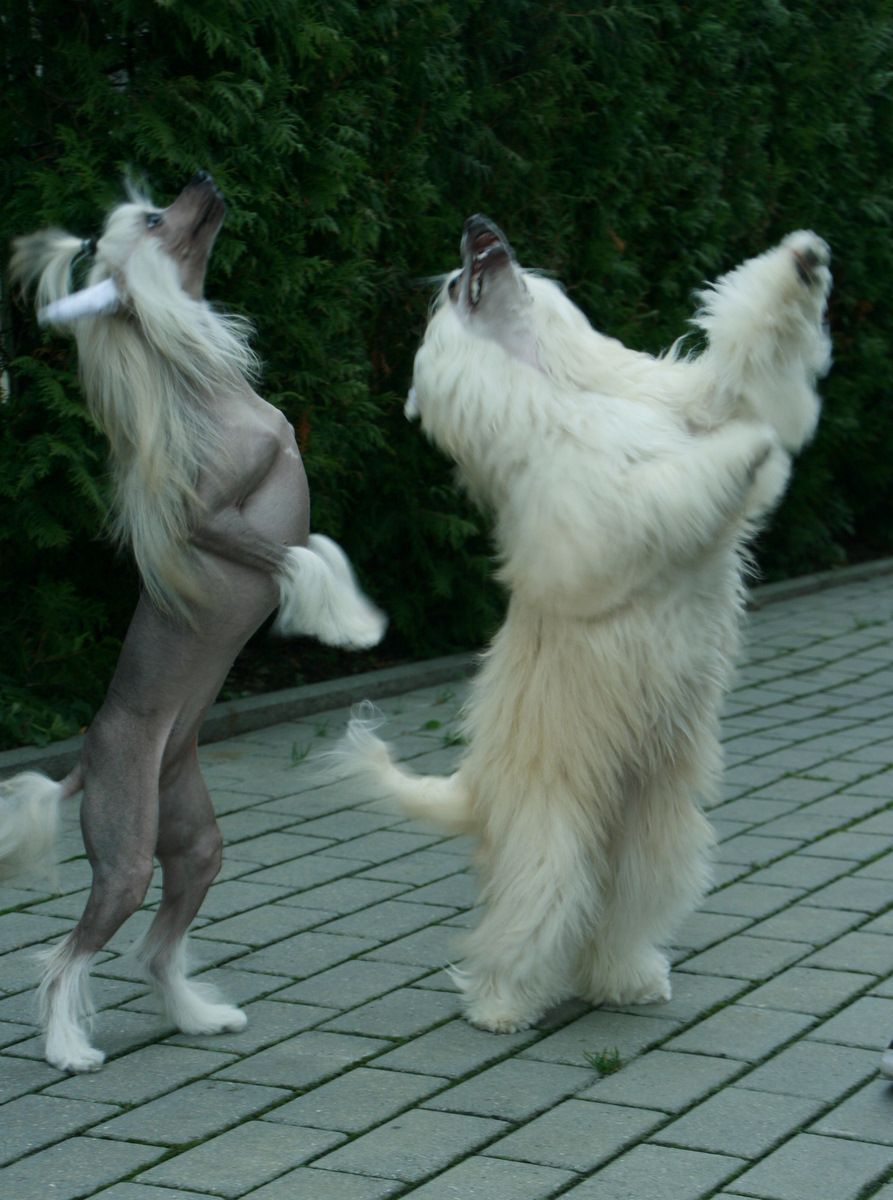 Thea Krakatau vaikas