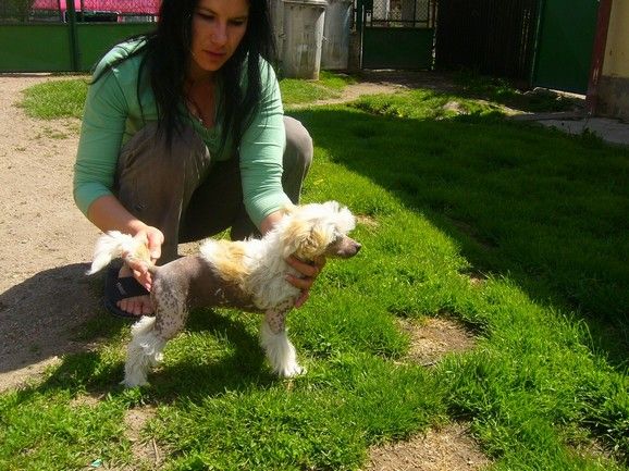 Astreia Snow od Reky snu